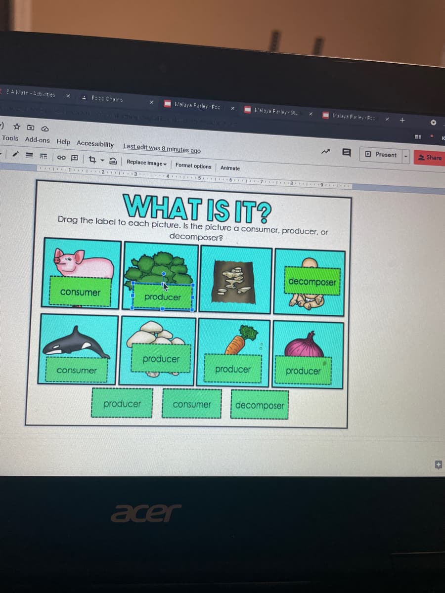 EAVatr -Astivities
- Fsce Crairo
Valaya Farley - Foc
Valava Farley- St.
Valava Friey-E:
KC
Tools Add-ons Help Accessibility
Last edit was 8 minutes ago
O Prosent
2 Share
セャ合
Replace image
Format options
Animate
.2 . 3 4 5 6 7 8 9
WHAT IS IT?
Drag the label to each picture. Is the picture a consumer, producer, or
decomposer?
decomposer
consumer
producer
producer
producer
producer
consumer
producer
consumer
decomposer
acer
