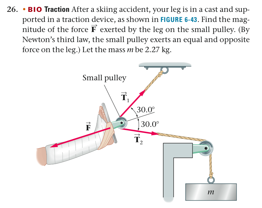 26. • BIO Traction After a skiing accident, your leg is in a cast and sup-
ported in a traction device, as shown in FIGURE 6-43. Find the mag-
nitude of the force F exerted by the leg on the small pulley. (By
Newton's third law, the small pulley exerts an equal and opposite
force on the leg.) Let the mass m be 2.27 kg.
Small pulley
30.0°
30.0°
F
T2
m
