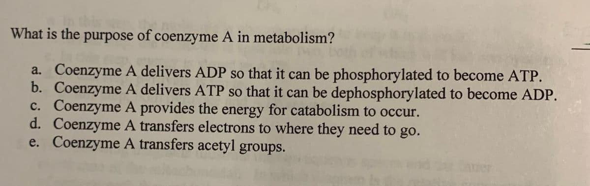 What is the purpose of coenzyme A in metabolism?
a. Coenzyme A delivers ADP so that it can be phosphorylated to become ATP.
b. Coenzyme A delivers ATP so that it can be dephosphorylated to become ADP.
c. Coenzyme A provides the energy for catabolism to occur.
d. Coenzyme A transfers electrons to where they need to go.
e. Coenzyme A transfers acetyl groups.
