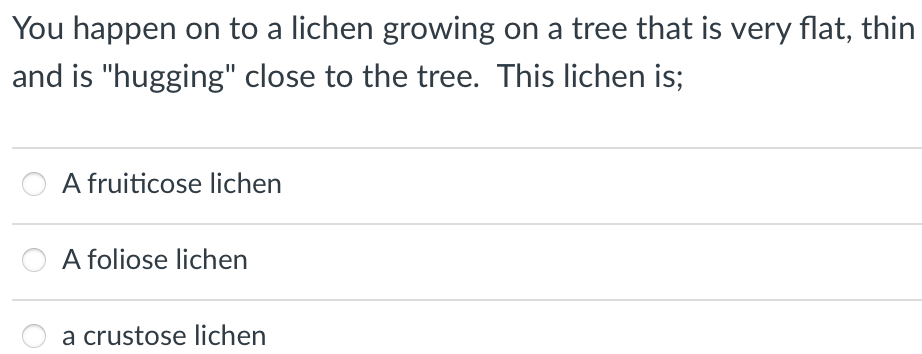 You happen on to a lichen growing on a tree that is very flat, thin
and is "hugging" close to the tree. This lichen is;
A fruiticose lichen
A foliose lichen
a crustose lichen
