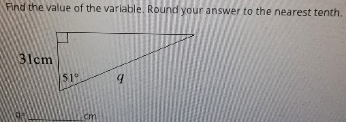 Find the value of the variable. Round your answer to the nearest tenth.
31cm
51°
cm

