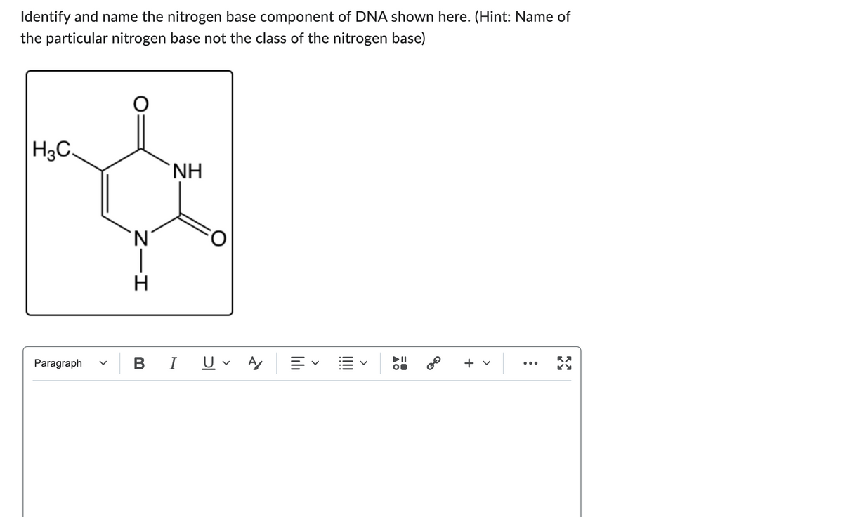 Identify and name the nitrogen base component of DNA shown here. (Hint: Name of
the particular nitrogen base not the class of the nitrogen base)
H3C.
Paragraph
O
Z—I
N
H
ΝΗ
B I
U A
≡く
►ll
20
+
<