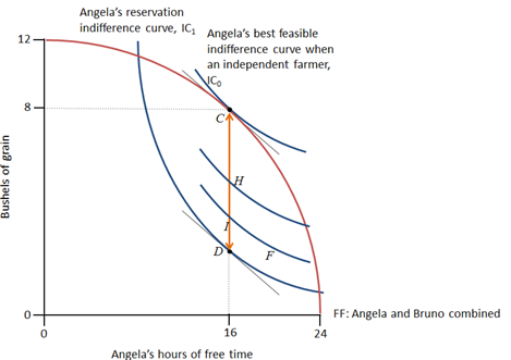 Angela's reservation
indifference curve, IC Angela's best feasible
12
indifference curve when
an independent farmer,
D
F
FF: Angela and Bruno combined
16
24
Angela's hours of free time
Bushels of grain
00
