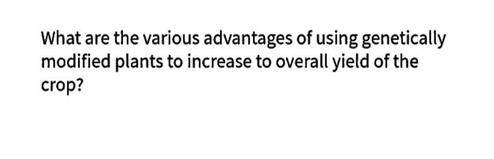 What are the various advantages of using genetically
modified plants to increase to overall yield of the
crop?
