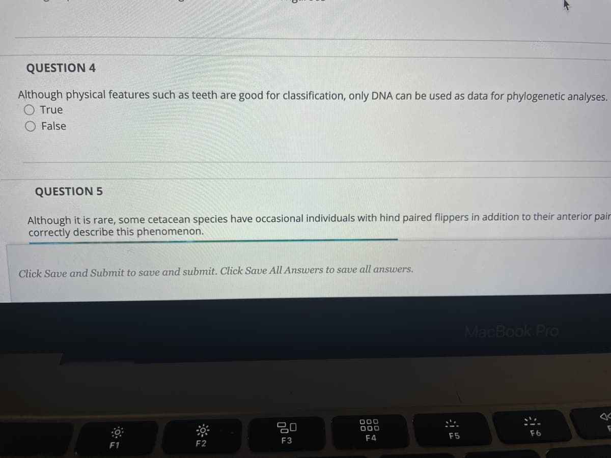QUESTION 4
Although physical features such as teeth are good for classification, only DNA can be used as data for phylogenetic analyses.
True
False
QUESTION 5
Although it is rare, some cetacean species have occasional individuals with hind paired flippers in addition to their anterior pair
correctly describe this phenomenon.
Click Save and Submit to save and submit. Click Save All Answers to save all answers.
F1
F2
ㅁㅁ
F3
000
000
F4
F5
MacBook Pro
F6
F