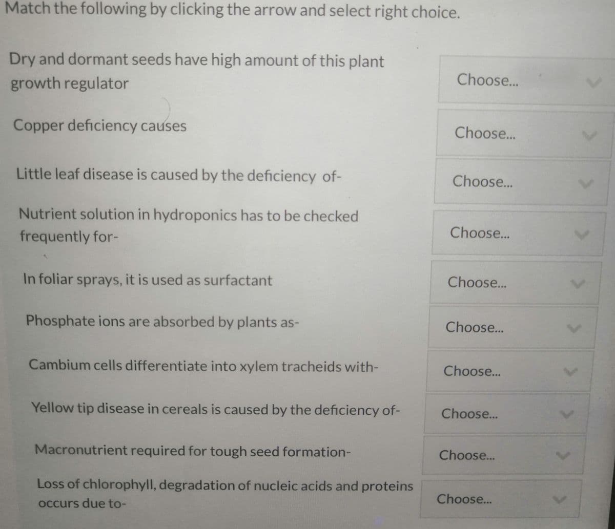 Match the following by clicking the arrow and select right choice.
Dry and dormant seeds have high amount of this plant
growth regulator
Choose...
Copper deficiency causes
Choose...
Little leaf disease is caused by the deficiency of-
Choose..
Nutrient solution in hydroponics has to be checked
frequently for-
Choose...
In foliar sprays, it is used as surfactant
Choose...
Phosphate ions are absorbed by plants as-
Choose..
Cambium cells differentiate into xylem tracheids with-
Choose...
Yellow tip disease in cereals is caused by the deficiency of-
Choose...
Macronutrient required for tough seed formation-
Choose...
Loss of chlorophyll, degradation of nucleic acids and proteins
Choose...
occurs due to-
