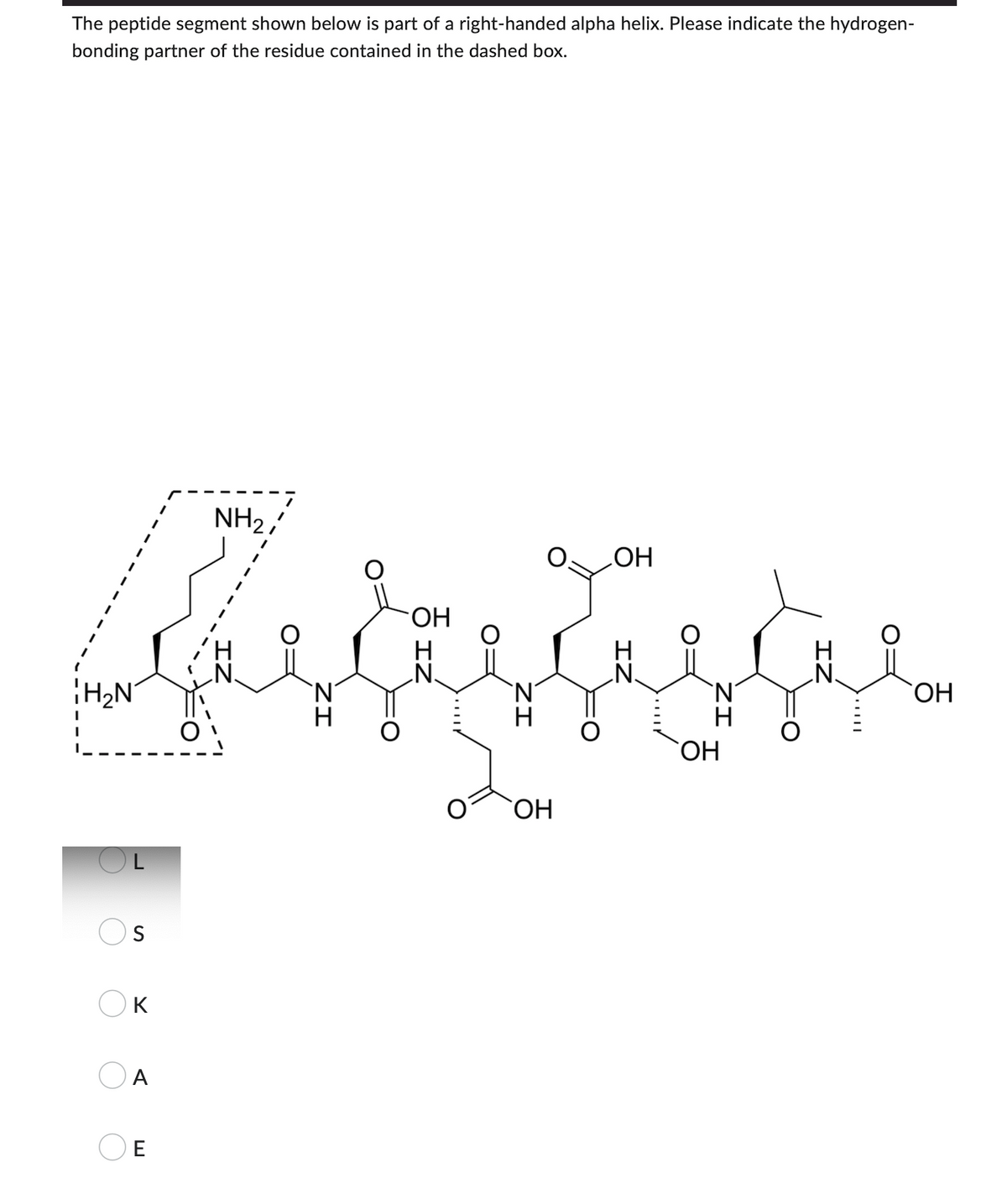 The peptide segment shown below is part of a right-handed alpha helix. Please indicate the hydrogen-
bonding partner of the residue contained in the dashed box.
NH₂,
OH
N.
I
I
I
I
T
1
I
I
I
H₂N
S
Ок
A
E
ZI
OH
H
ZI
OH
`N
OH
IZ
|
OH