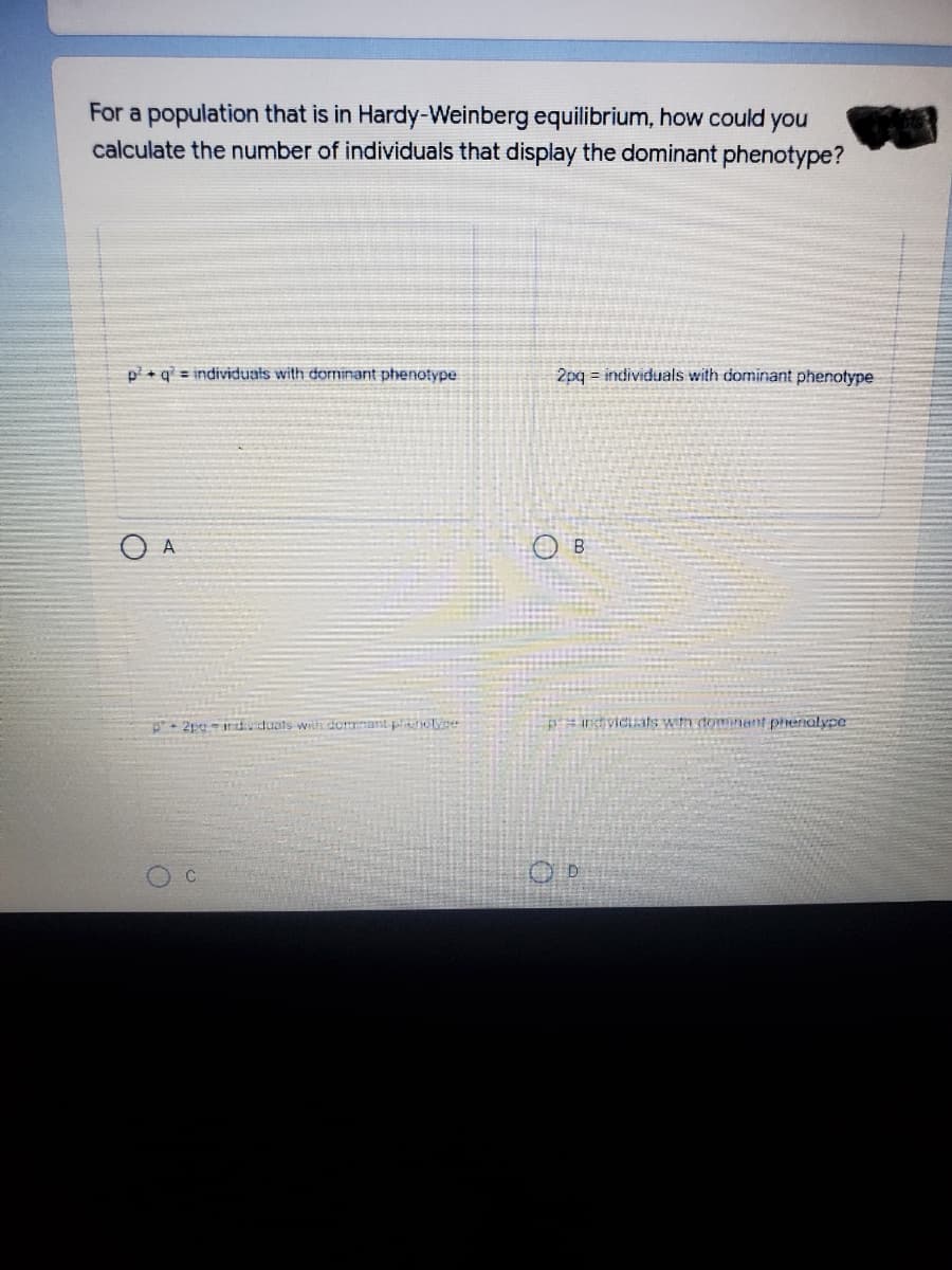 For a population that is in Hardy-Weinberg equilibrium, how could you
calculate the number of individuals that display the dominant phenotype?
p+ g = individuals with dorninant phenotype
2pg = individuals with dominant phenotype
- 2pg- indduats witi domnant p ote
p=intiviciats wim dominent pirenalype
