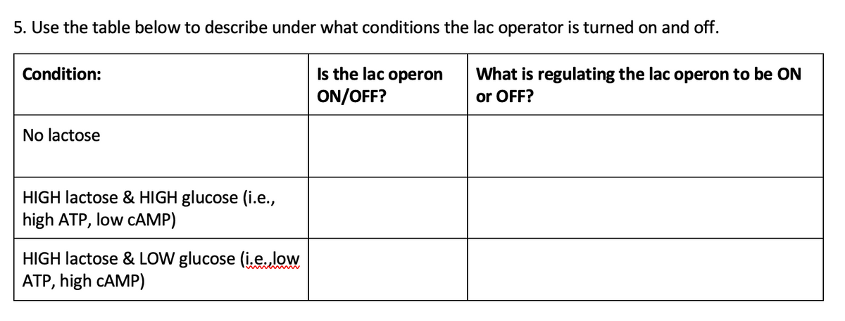 5. Use the table below to describe under what conditions the lac operator is turned on and off.
Is the lac operon
ON/OFF?
Condition:
No lactose
HIGH lactose & HIGH glucose (i.e.,
high ATP, low cAMP)
HIGH lactose & LOW glucose (i.e. low
ATP, high CAMP)
What is regulating the lac operon to be ON
or OFF?