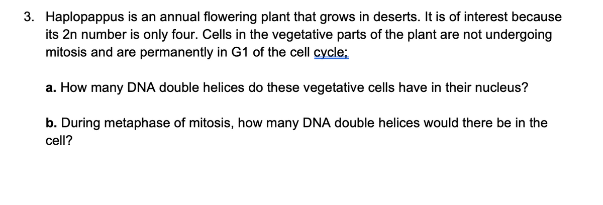 3. Haplopappus is an annual flowering plant that grows in deserts. It is of interest because
its 2n number is only four. Cells in the vegetative parts of the plant are not undergoing
mitosis and are permanently in G1 of the cell cycle;
a. How many DNA double helices do these vegetative cells have in their nucleus?
b. During metaphase of mitosis, how many DNA double helices would there be in the
cell?