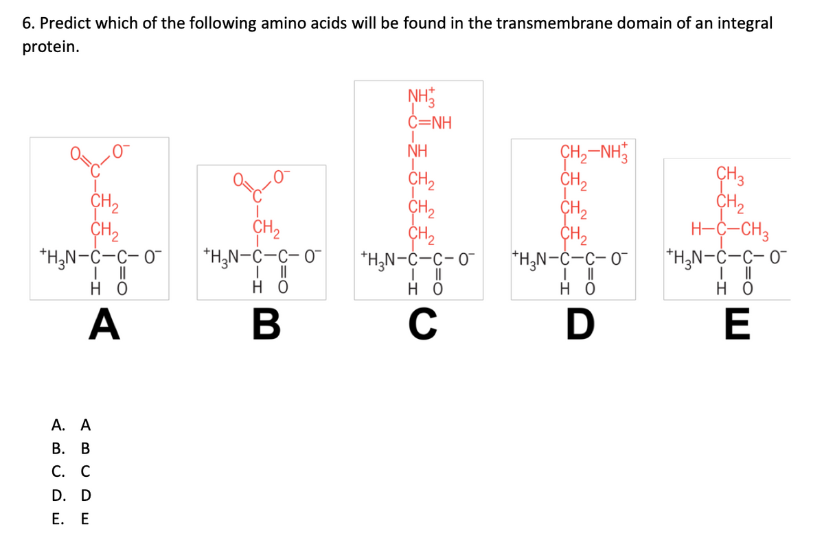 6. Predict which of the following amino acids will be found in the transmembrane domain of an integral
protein.
CH₂
CH₂
*H₂N-C-C-0-
но
A
A. A
B. B
C. C
D. D
E. E
CH₂
+H₂N-C-C-0-
|||
но
B
NH
C=NH
ΝΗ
CH₂
CH₂
CH₂
+H₂N-C-C-0
но
C
CH₂-NH3
CH₂
CH₂
CH₂
H₂N-C-C-0-
но
D
CH 3
CH₂
H-C-CH3
*H₂N-C-C-0-
но
E