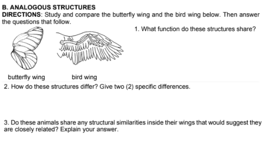 B. ANALOGOUS STRUCTURES
DIRECTIONS: Study and compare the butterfly wing and the bird wing below. Then answer
the questions that follow.
1. What function do these structures share?
butterfly wing
bird wing
2. How do these structures differ? Give two (2) specific differences.
3. Do these animals share any structural similarities inside their wings that would suggest they
are closely related? Explain your answer.
