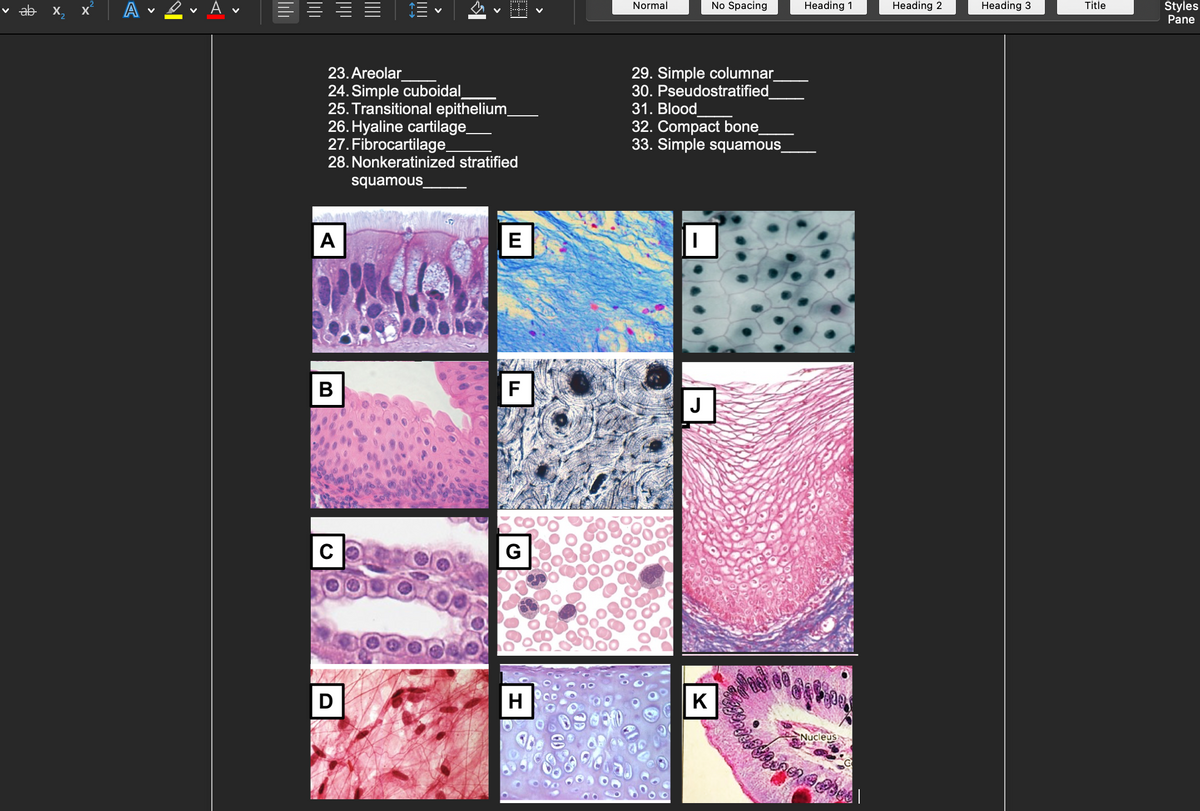 ✓ A v
==== .
23. Areolar
24. Simple cuboidal
25. Transitional epithelium_
26. Hyaline cartilage_
27. Fibrocartilage_
28. Nonkeratinized stratified
squamous
A
| В
C
D
E
F
G
H
Normal
29. Simple columnar_
30. Pseudostratified
31. Blood
32. Compact bone_
33. Simple squamous_
I
No Spacing
J
K
100
Heading 1
Nucleus
bannades
|
Heading 2
Heading 3
Title
Styles
Pane