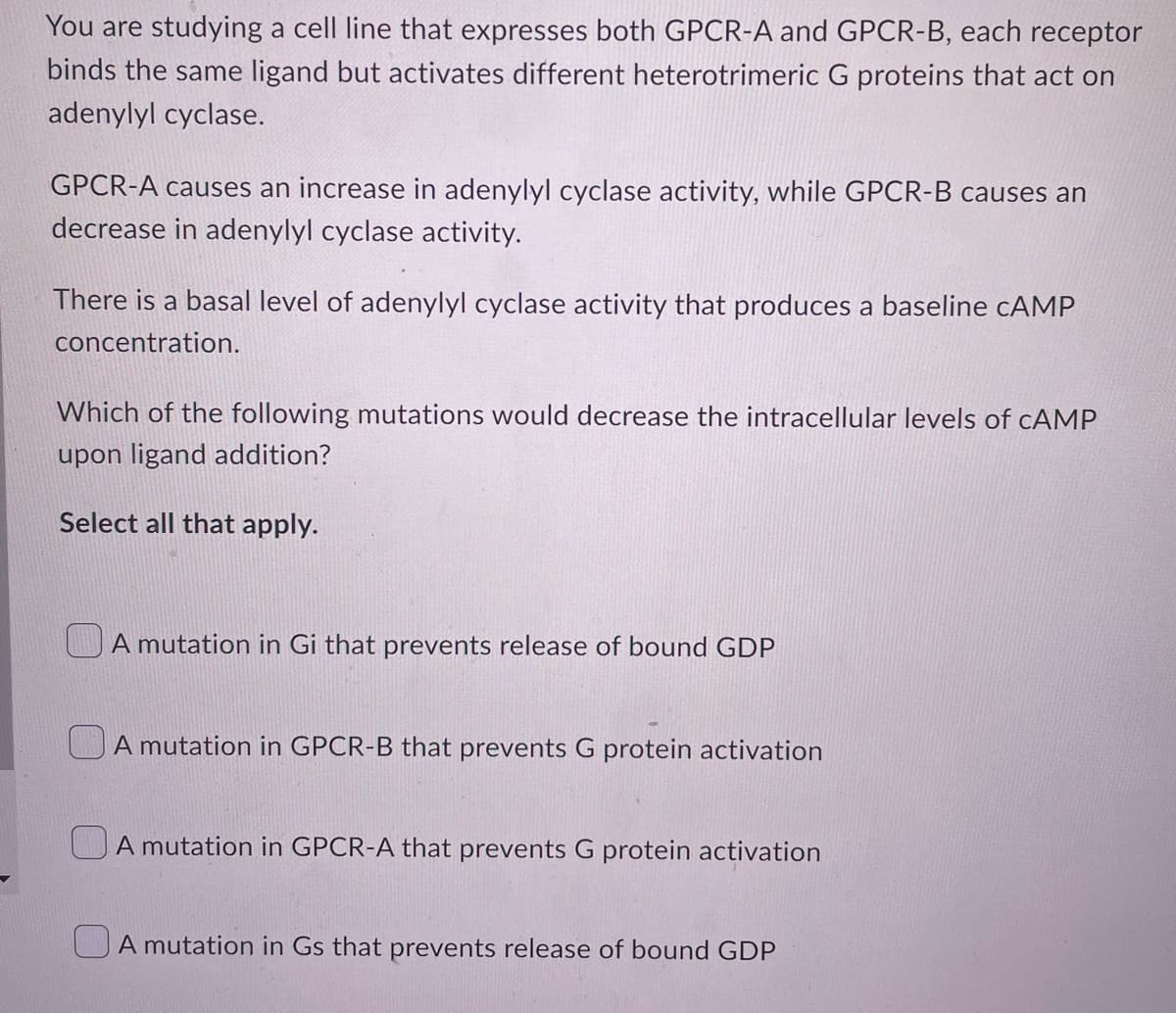 You are studying a cell line that expresses both GPCR-A and GPCR-B, each receptor
binds the same ligand but activates different heterotrimeric G proteins that act on
adenylyl cyclase.
GPCR-A causes an increase in adenylyl cyclase activity, while GPCR-B causes an
decrease in adenylyl cyclase activity.
There is a basal level of adenylyl cyclase activity that produces a baseline CAMP
concentration.
Which of the following mutations would decrease the intracellular levels of cAMP
upon ligand addition?
Select all that apply.
A mutation in Gi that prevents release of bound GDP
A mutation in GPCR-B that prevents G protein activation
A mutation in GPCR-A that prevents G protein activation
A mutation in Gs that prevents release of bound GDP