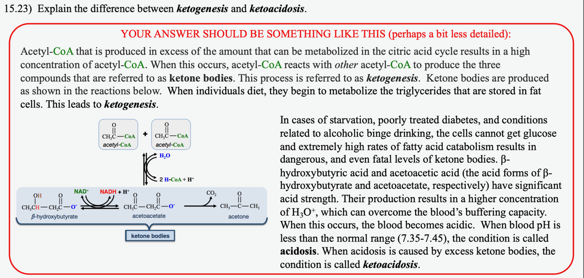 15.23) Explain the difference between ketogenesis and ketoacidosis.
YOUR ANSWER SHOULD BE SOMETHING LIKE THIS (perhaps a bit less detailed):
Acetyl-CoA that is produced in excess of the amount that can be metabolized in the citric acid cycle results in a high
concentration of acetyl-CoA. When this occurs, acetyl-CoA reacts with other acetyl-CoA to produce the three
compounds that are referred to as ketone bodies. This process is referred to as ketogenesis. Ketone bodies are produced
as shown in the reactions below. When individuals diet, they begin to metabolize the triglycerides that are stored in fat
cells. This leads to ketogenesis.
NAD
ОН
i
CH,CH-CH₂C-0
B-hydroxybutyrate
CHO-COA
acetyl-CoA
NADH + H+
ہے
+
CH₂C-COA
acetyl-CoA
H₂O
2 H-COA+H*
_______
CH₂C-CH₂C-0
acetoacetate
ketone bodies
CO₂
CH,-U-CH,
acetone
In cases of starvation, poorly treated diabetes, and conditions
related to alcoholic binge drinking, the cells cannot get glucose
and extremely high rates of fatty acid catabolism results in
dangerous, and even fatal levels of ketone bodies. ß-
hydroxybutyric acid and acetoacetic acid (the acid forms of ß-
hydroxybutyrate and acetoacetate, respectively) have significant
acid strength. Their production results in a higher concentration
of H3O+, which can overcome the blood's buffering capacity.
When this occurs, the blood becomes acidic. When blood pH is
less than the normal range (7.35-7.45), the condition is called
acidosis. When acidosis is caused by excess ketone bodies, the
condition is called ketoacidosis.