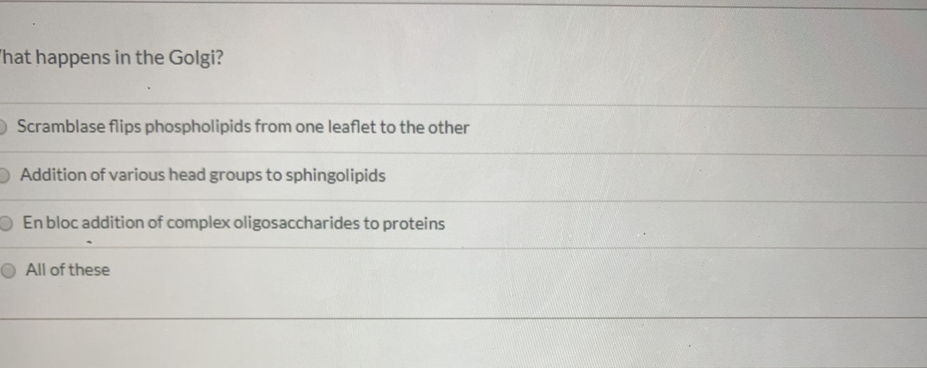 hat happens in the Golgi?
Scramblase flips phospholipids from one leaflet to the other
o Addition of various head groups to sphingolipids
O En bloc addition of complex oligosaccharides to proteins
All of these
