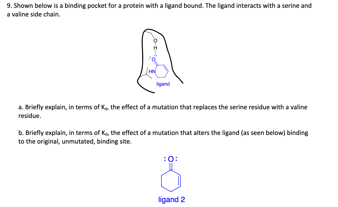 9. Shown below is a binding pocket for a protein with a ligand bound. The ligand interacts with a serine and
a valine side chain.
ligand
a. Briefly explain, in terms of Ka, the effect of a mutation that replaces the serine residue with a valine
residue.
b. Briefly explain, in terms of Kd, the effect of a mutation that alters the ligand (as seen below) binding
to the original, unmutated, binding site.
:0:
ligand 2
