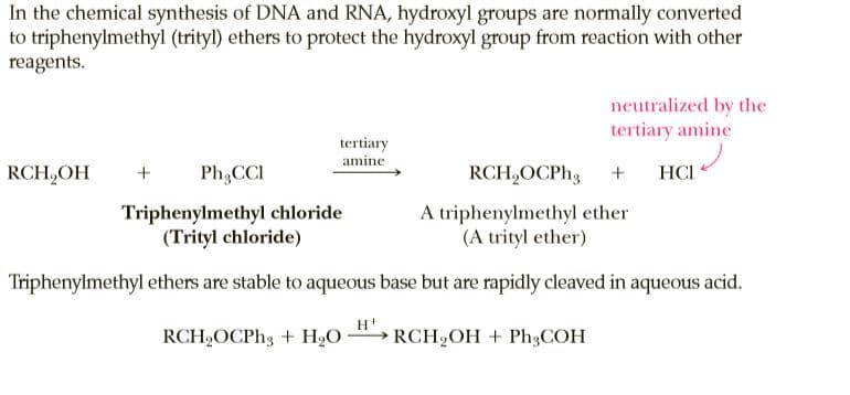 In the chemical synthesis of DNA and RNA, hydroxyl groups are normally converted
to triphenylmethyl (trityl) ethers to protect the hydroxyl group from reaction with other
reagents.
neutralized by the
tertiary amine
tertiary
amine
RCH,OH
Ph,CCI
RCH,OCP.,
HCI
Triphenylmethyl chloride
(Trityl chloride)
A triphenylmethyl ether
(A trityl ether)
Triphenylmethyl ethers are stable to aqueous base but are rapidly cleaved in aqueous acid.
RCH,OCPH3 + H2O
RCH2OH + Ph3COH
