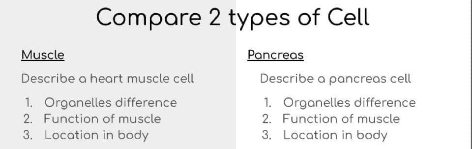 Compare 2 types of Cell
Muscle
Pancreas
Describe a heart muscle cell
Describe a pancreas cell
1. Organelles difference
1. Organelles difference
2. Function of muscle
2. Function of muscle
3. Location in body
3. Location in body
