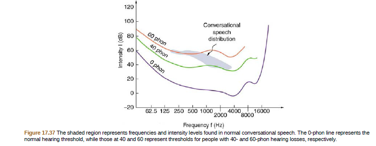 120
Conversational
100
speech
60 phon
distribution
80
40 phon
60
O phon
40
20
62.5 125 250 500 1000
2000
4000
16000
8000
-20
Figure 17.37 The shaded region represents frequencies and intensity levels found in normal conversational speech. The 0-phon line represents the
normal hearing threshold, while those at 40 and 60 represent thresholds for people with 40- and 60-phon hearing losses, respectively.
Frequency f (Hz)
Intensity I (dB)
