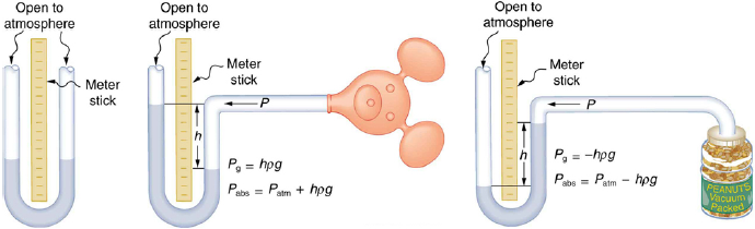 Open to
atmosphere
Open to
atmosphere
Open to
atmosphere
Meter
Meter
Meter
stick
stick
stick
P, = -hpg
P, = hpg
atm - hog
abs=
Pabs = Patm + hpg
PEANUTS
Vacuum
Packed
