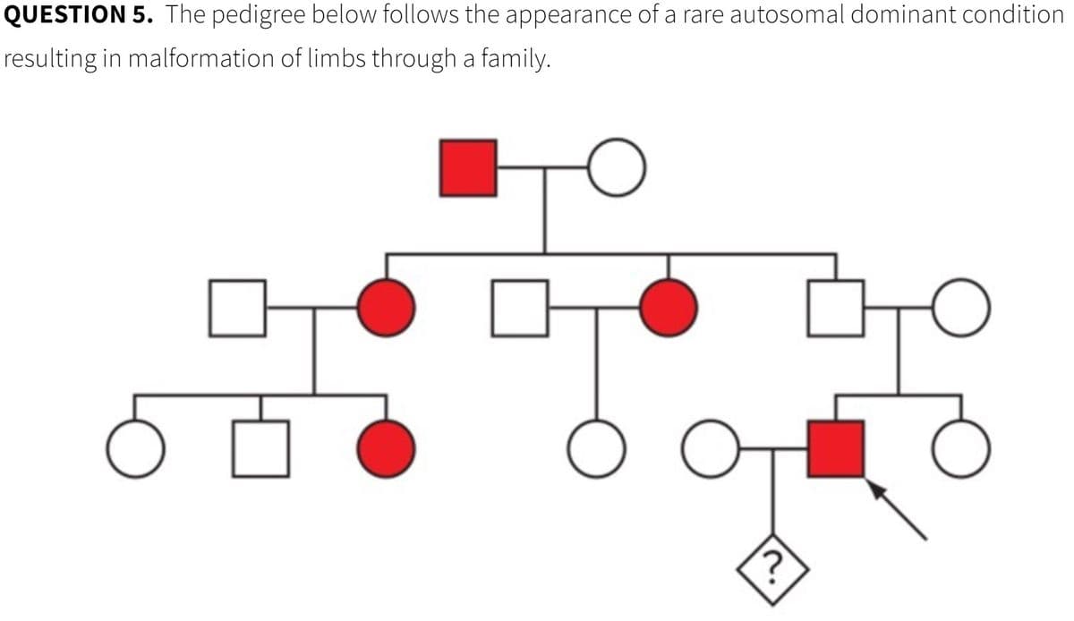 QUESTION 5. The pedigree below follows the appearance of a rare autosomal dominant condition
resulting in malformation of limbs through a family.
