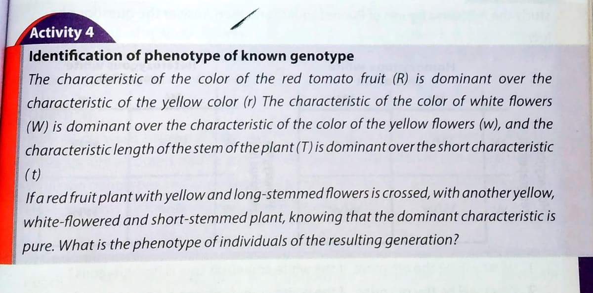 Activity 4
Identification of phenotype of known genotype
The characteristic of the color of the red tomato fruit (R) is dominant over the
characteristic of the yellow color (r) The characteristic of the color of white flowers
(W) is dominant over the characteristic of the color of the yellow flowers (w), and the
characteristic length of the stem of the plant (T) is dominant over the short characteristic
(t)
Ifa red fruit plant with yellow and long-stemmed flowers is crossed, with another yellow,
white-flowered and short-stemmed plant, knowing that the dominant characteristic is
pure. What is the phenotype of individuals of the resulting generation?
