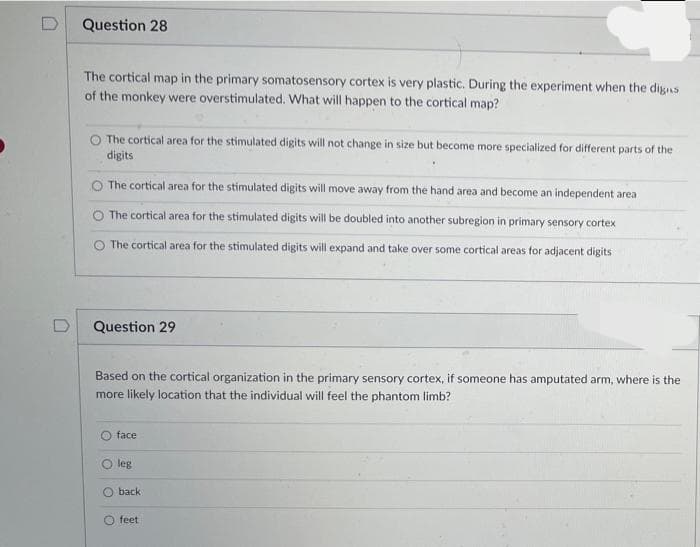 D
Question 28
The cortical map in the primary somatosensory cortex is very plastic. During the experiment when the digis
of the monkey were overstimulated. What will happen to the cortical map?
The cortical area for the stimulated digits will not change in size but become more specialized for different parts of the
digits
O The cortical area for the stimulated digits will move away from the hand area and become an independent area
The cortical area for the stimulated digits will be doubled into another subregion in primary sensory cortex
The cortical area for the stimulated digits will expand and take over some cortical areas for adjacent digits
Question 29
Based on the cortical organization in the primary sensory cortex, if someone has amputated arm, where is the
more likely location that the individual will feel the phantom limb?
O face
leg
back
feet