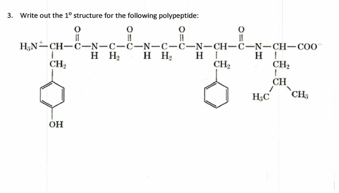 3. Write out the 1º structure for the following polypeptide:
(
!
CH₂
11
H3N-CH-C-N-C-C-N-C-C-N-CH-C-N-CH-COO
н н н H HI
CH₂
ОН
0
H!
CH2
1
CH
H, C CH3