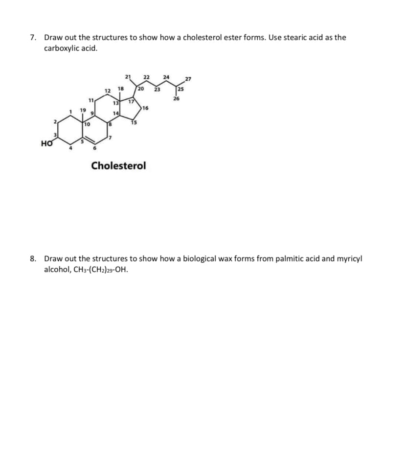 7. Draw out the structures to show how a cholesterol ester forms. Use stearic acid as the
carboxylic acid.
HO
11
10
12
18
13
14
21
17
15
22
20 23
16
Cholesterol
24
25
26
27
8. Draw out the structures to show how a biological wax forms from palmitic acid and myricyl
alcohol, CH3-(CH2)29-OH.