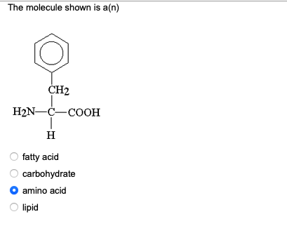 The molecule shown is a(n)
CH2
H2N-C-COOH
H
fatty acid
carbohydrate
O amino acid
lipid