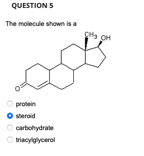 QUESTION 5
The molecule shown is a
protein
steroid
carbohydrate
triacylglycerol
CH3 OH