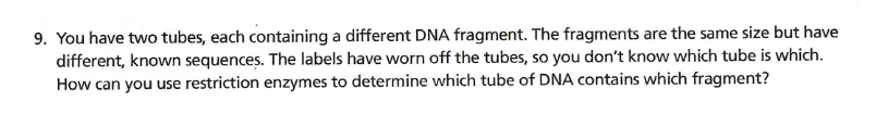 9. You have two tubes, each containing a different DNA fragment. The fragments are the same size but have
different, known sequences. The labels have worn off the tubes, so you don't know which tube is which.
How can you use restriction enzymes to determine which tube of DNA contains which fragment?
