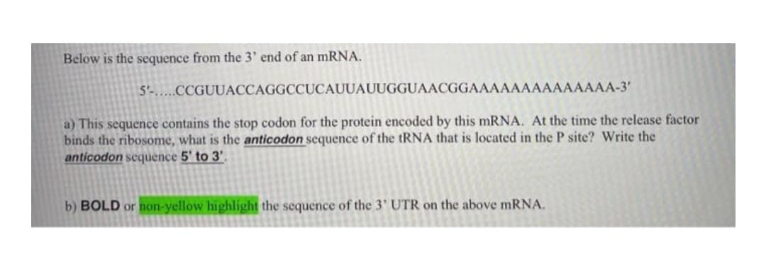 Below is the sequence from the 3' end of an mRNA.
5'.....CCGUUACCAGGCCUCAUUAUUGGUAACGGAAAAAAAAAAAAAA-3'
a) This sequence contains the stop codon for the protein encoded by this mRNA. At the time the release factor
binds the ribosome, what is the anticodon sequence of the tRNA that is located in the P site? Write the
anticodon sequence 5' to 3'.
b) BOLD or non-yellow highlight the sequence of the 3' UTR on the above mRNA.
