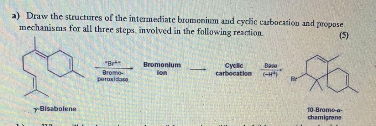 a) Draw the structures of the intermediate bromonium and cyclic carbocation and
mechanisms for all three steps, involved in the following reaction.
propose
(5)
"Brt
Bromonium
Cyclic
carbocation
Base
Bromo-
peroxidase
ion
Br
y-Bisabolene
10-Bromo-a-
chamigrene
