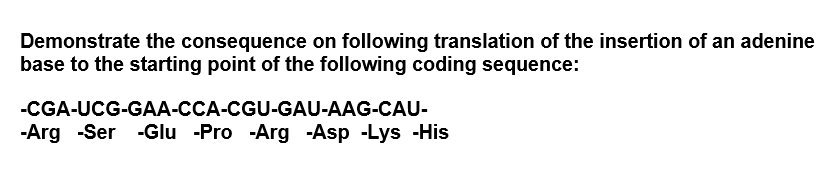 Demonstrate the consequence on following translation of the insertion of an adenine
base to the starting point of the following coding sequence:
-CGA-UCG-GAA-CCA-CGU-GAU-AAG-CAU-
-Arg -Ser -Glu -Pro -Arg -Asp -Lys -His
