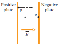 Positive
Negative
plate
plate P

