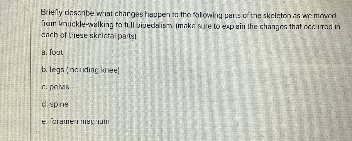 Briefly describe what changes happen to the following parts of the skeleton as we moved
from knuckle-walking to full bipedalism. (make sure to explain the changes that occurred in
each of these skeletal parts)
a. foot
b. legs (including knee)
c. pelvis
d. spine
e. foramen magnum
