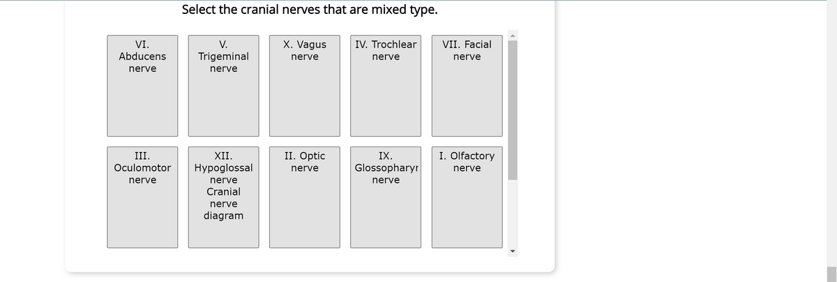 VI.
Abducens
nerve
III.
Oculomotor
nerve
Select the cranial nerves that are mixed type.
V.
Trigeminal
nerve
XII.
Hypoglossal
nerve
Cranial
nerve
diagram
X. Vagus
nerve
II. Optic
nerve
IV. Trochlear
nerve
IX.
Glossopharyr
nerve
VII. Facial
nerve
I. Olfactory
nerve
