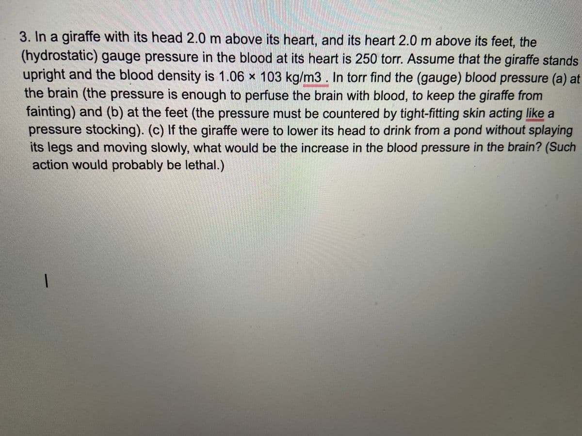 3. In a giraffe with its head 2.0 m above its heart, and its heart 2.0 m above its feet, the
(hydrostatic) gauge pressure in the blood at its heart is 250 torr. Assume that the giraffe stands
upright and the blood density is 1.06 × 103 kg/m3 . In torr find the (gauge) blood pressure (a) at
the brain (the pressure is enough to perfuse the brain with blood, to keep the giraffe from
fainting) and (b) at the feet (the pressure must be countered by tight-fitting skin acting like a
pressure stocking). (c) If the giraffe were to lower its head to drink from a pond without splaying
its legs and moving slowly, what would be the increase in the blood pressure in the brain? (Such
action would probably be lethal.)
