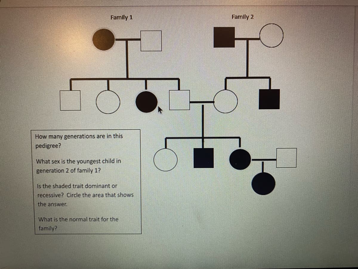 Family 1
How many generations are in this
pedigree?
What sex is the youngest child in
generation 2 of family 1?
Is the shaded trait dominant or
recessive? Circle the area that shows
the answer.
What is the normal trait for the
family?
Family 2