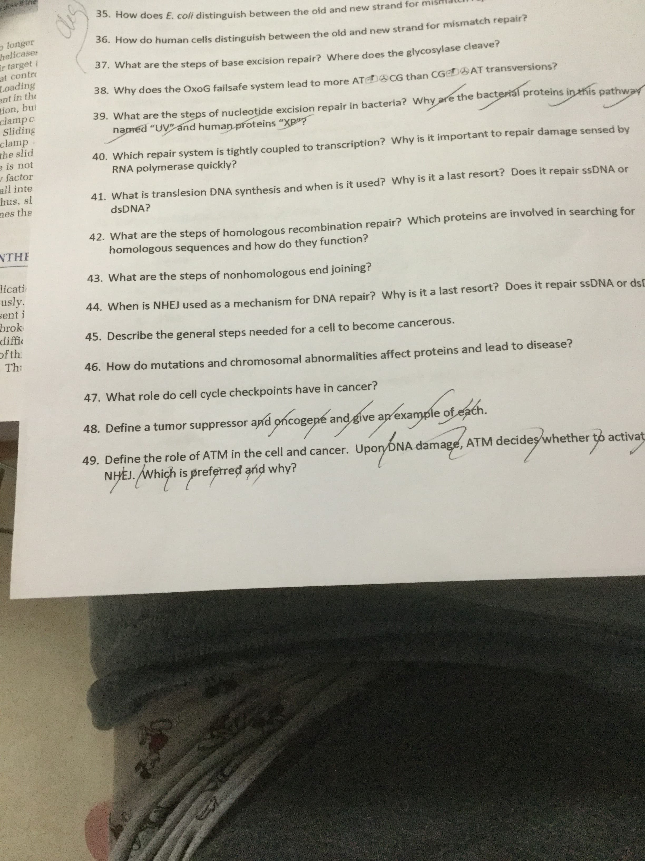 33. How does E. coli distinguish between the old and new strand for mi
o longer
helicase:
ir target
at contro
Loading
ent in the
tion, bui
clamp c
Sliding
clamp
the slid
e is not
y factor
all inte
hus, sl
nes tha
Su. How do human cells distinguish between the old and new strand for mismatch repair?
37. What are the steps of base excision repair? Where does the glycosylase cleave?
38. Why does the OxoG failsafe system lead to more ATeD CG than CGeDAT transversions?
39. What are the steps of nucleotide excision repair in bacteria? Why are the bacteriál proteins in this pathwar
named "UV"ánd human proteins "XP"?
40. Which repair system is tightly coupled to transcription? Why is it important to repair damage sensed by
RNA polymerase quickly?
41. What is translesion DNA synthesis and when is it used? Why is it a last resort? Does it repair SSDNA or
dsDNA?
42. What are the steps of homologous recombination repair? Which proteins are involved in searching for
homologous sequences and how do they function?
NTHE
43. What are the steps of nonhomologous end joining?
licati
usly.
sent i
brok
diffie
of th
44. When is NHEJ used as a mechanism for DNA repair? Why is it a last resort? Does it repair SSDNA or dsE
45. Describe the general steps needed for a cell to become cancerous.
Thi
46. How do mutations and chromosomal abnormalities affect proteins and lead to disease?
47. What role do cell cycle checkpoints have in cancer?
48. Define a tumor suppressor and oncogepe and give an example of each.
49. Define the role of ATM in the cell and cancer. Upon DNA damage, ATM decideş whether to activat
NHEJ. Which is preferred and why?
wnigh
