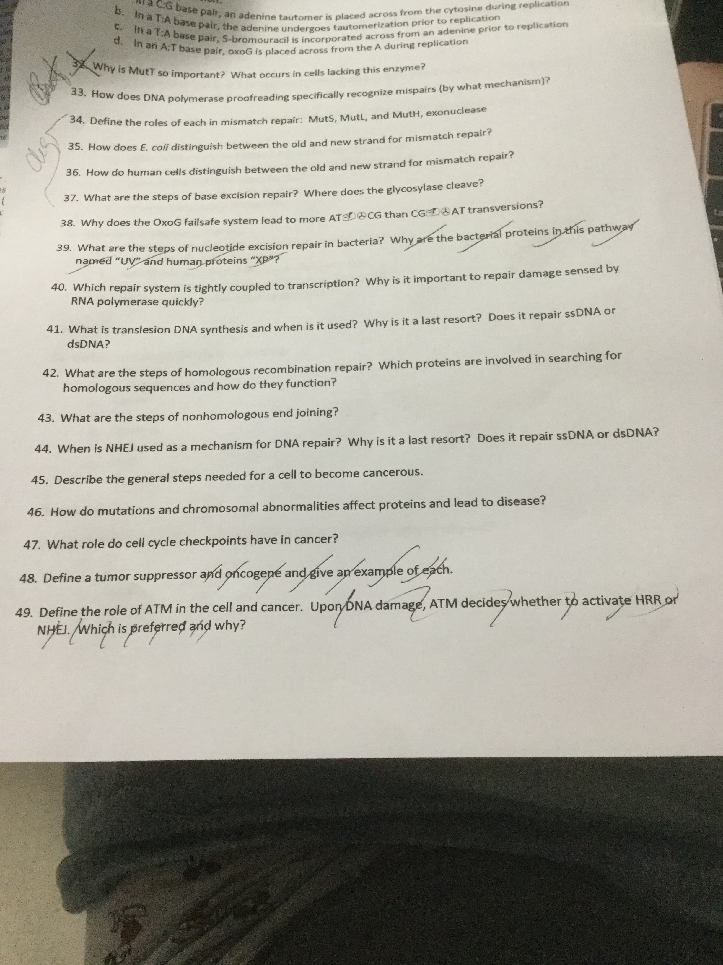a CG base pair, an adenine tautomer is placed across from the cytosine during replication
b. in a T:A base pair, the adenine undergoes tautomerization prior to replication
C. In a T:A base pair, S-bromouracil is incorporated across from an adenine prior to replication
d. In an A:T base pair, oxoG is placed across from the A during replication
Why is MutT so important? What occurs in cells lacking this enzyme?
33. How does DNA polymerase proofreading specifically recognize mispairs (by what mechanism)?
4. Define the roles of each in mismatch repair: MutS, Mutl, and MutH, exonuclease
3. How does E. coli distinguish between the old and new strand for mismatch repair?
36. How do human cells distinguish between the old and new strand for mismatch repair?
es
37. What are the steps of base excision repair? Where does the glycosylase cleave?
38. Why does the OxoG failsafe system lead to more ATAD CG than CGD AT transversions?
3. what are the steps of nucleotide excision repair in bacteria? Why are the bacterial proteins in this pathway
named "UV" and human proteins "XP"?
*0. which repair system is tightly coupled to transcription? Why is it important to repair damage sensed by
RNA polymerase quickly?
*1. What is translesion DNA synthesis and when is it used? Why is it a last resort? Does it repair ssDNA or
dsDNA?
42. What are the steps of homologous recombination repair? Which proteins are involved in searching for
homologous sequences and how do they function?
43. What are the steps of nonhomologous end joining?
44. When is NHEJ used as a mechanism for DNA repair? Why is it a last resort? Does it repair ssDNA or dsDNA?
45. Describe the general steps needed for a cell to become cancerous.
46. How do mutations and chromosomal abnormalities affect proteins and lead to disease?
47. What role do cell cycle checkpoints have in cancer?
48. Define a tumor suppressor and oncogepe and give ap example of each.
cogené
49. Define the role of ATM in the cell and cancer. Upon DNA damage, ATM decideş whether to activațe HRR or
NHĖJ. Which is preferred and why?

