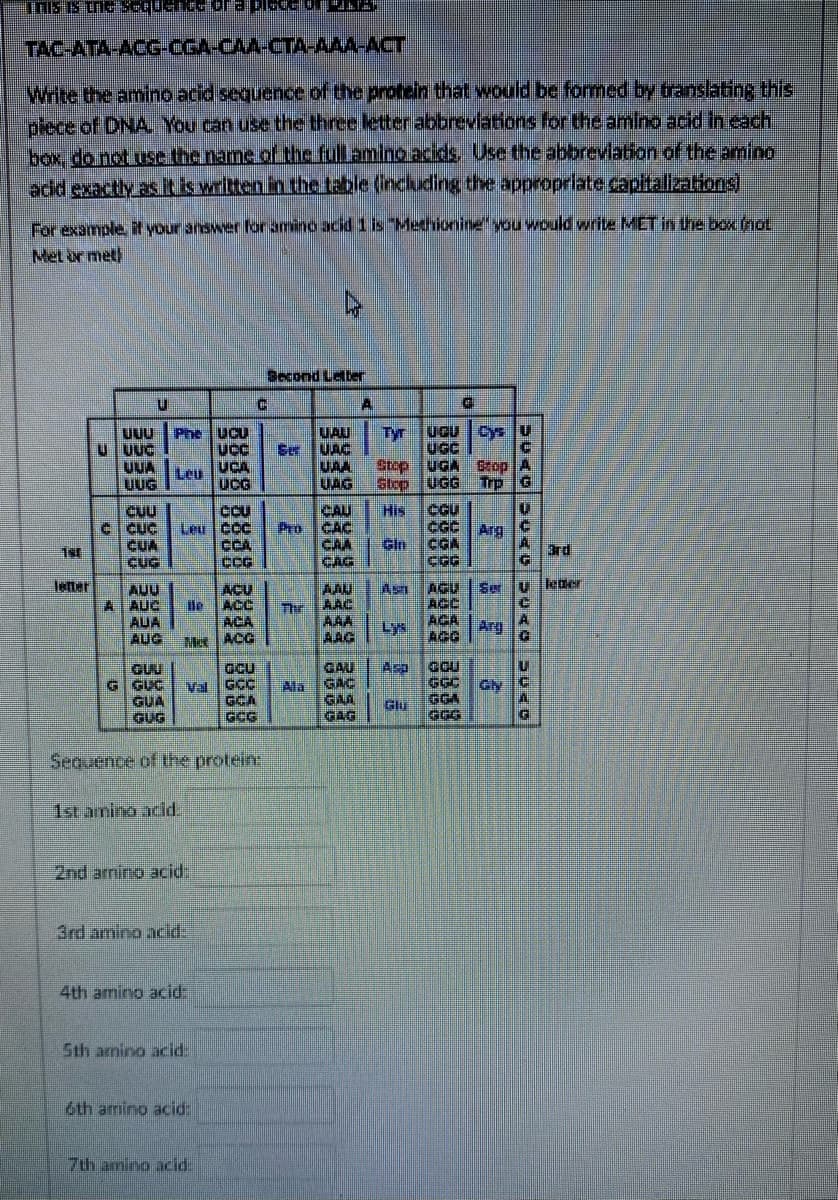 TAC-ATA-ACG-CGA-CAA-CTA-AAA-ACT
Write the amino acid sequence of the protein that would be formed by translating this
plece of DNA. You can use the three letter abbreviations for the amino acid in each
box, do not use the name of the full amino acids, Use the abbrevlation of the amino
adid exactly as Itswritten in the table (including the appropriate capltalizations
For example it your answer for amino acid 1 is"Methionine" you would write MET in the box (not
Met or met)
Second Later
UUU
UUUC
Phe UCU
UAU
Ser UAC
UAA
UAG
Tyr
UGU
Cys U
Leu UCA
ucG
UGC
Stop uGA Beop
UUG
Step UGG
Trp G
Cuu
C cuC
CUA
CUG
CU
Leu Coc
CCA
CG
CAU
Pro
cGu
CAC
CAA
CAG
His
CGC Arg
CGA
CGG
1st
3rd
letter
AUU
A AUG
AUA
AUG
ACU
le
AAU
AAC
AGU
ACC
Asn
Ser U leBer
ACC
ACA
Mct ACG
The
AAA
AAG
ACA
Lys
AGG
Arg
acu
Val GCC
GCA
GCG
GAU
GAC
GAA
GAG
GOU
GGC
GGA
GGG
Arp
G GUC
GUA
GUG
Ala
Gly
Glu
Seovence of the protein,
1st amino acid.
2nd arnino acid:
3rd amino acid:
4th amino acid
Sth amino acid:
6th amino acid:
7th amino acid.
