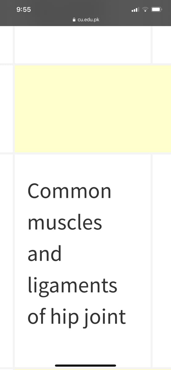 9:55
A cu.edu.pk
Common
muscles
and
ligaments
of hip joint
