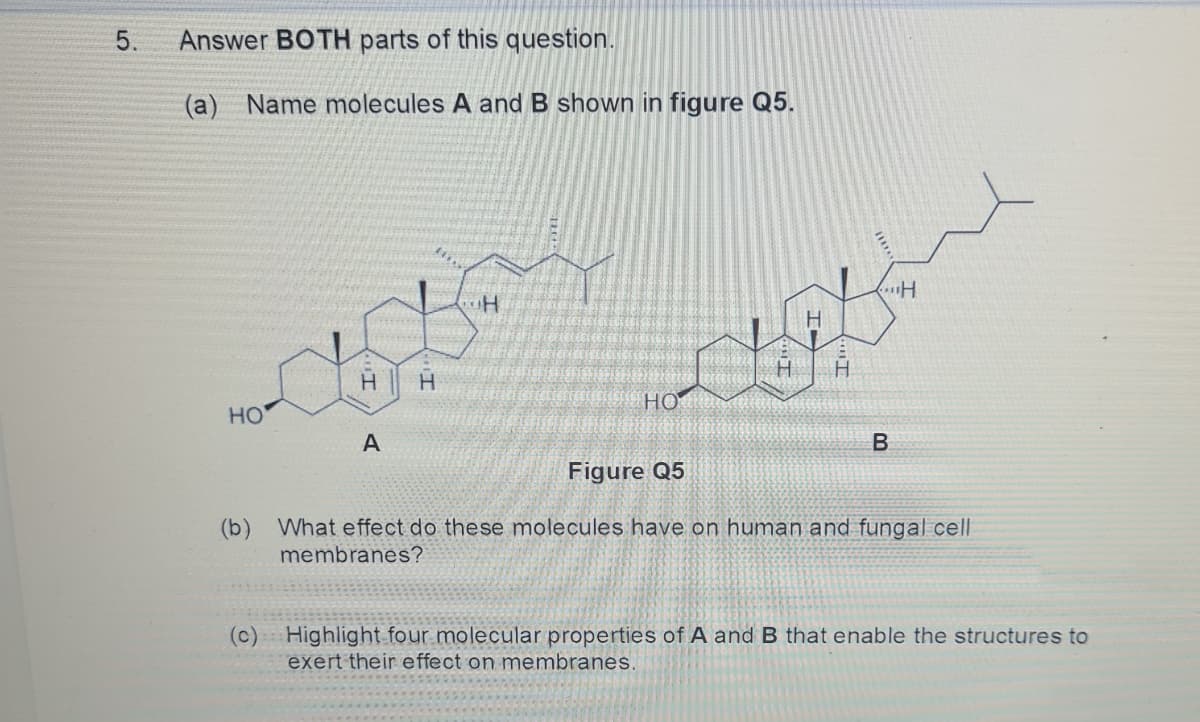 5.
Answer BOTH parts of this question.
(a) Name molecules A and B shown in figure Q5.
H
H
HO
HO
A
B
Figure Q5
(b) What effect do these molecules have on human and fungal cell
membranes?
(c) Highlight four molecular properties of A and B that enable the structures to
exert their effect on membranes.
H
H
H