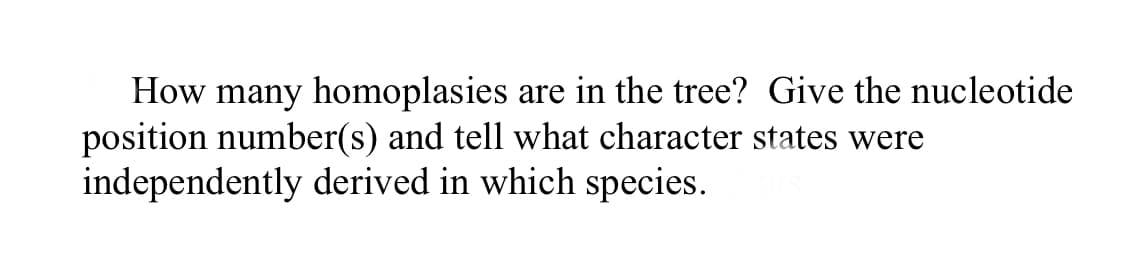 How many homoplasies are in the tree? Give the nucleotide
position number(s) and tell what character states were
independently derived in which species.