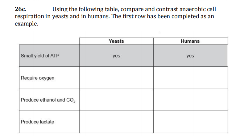 26c.
Using the following table, compare and contrast anaerobic cell
respiration in yeasts and in humans. The first row has been completed as an
example.
Small yield of ATP
Require oxygen
Produce ethanol and CO₂
Produce lactate
Yeasts
yes
Humans
yes