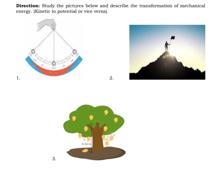 Direction: Study the pictures below and describe the transformation of mechanical
energy. (Kinetic to potential or vice versa).
1.
2.
3.
8.52 m