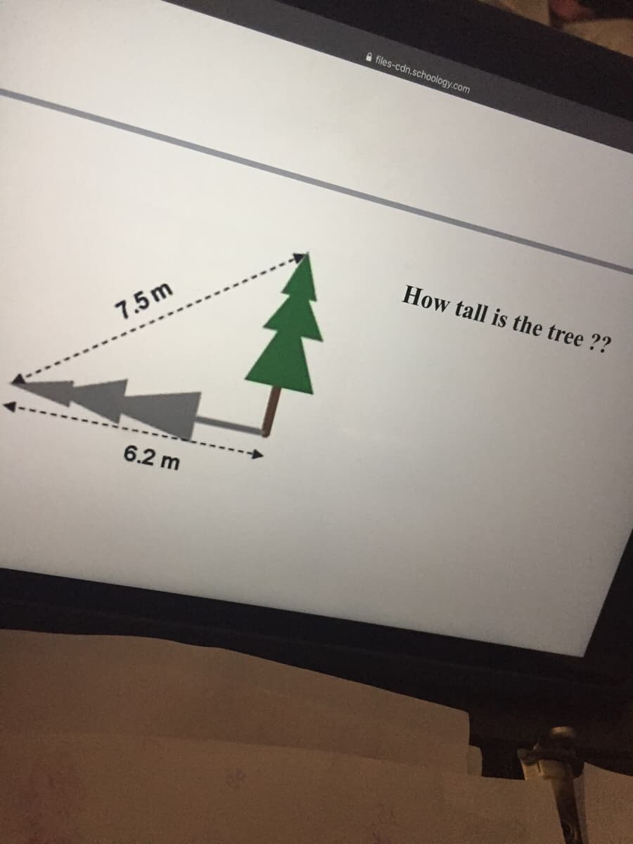 files-cdn.schoology.com
How tall is the tree ??
7.5 m
6.2 m
